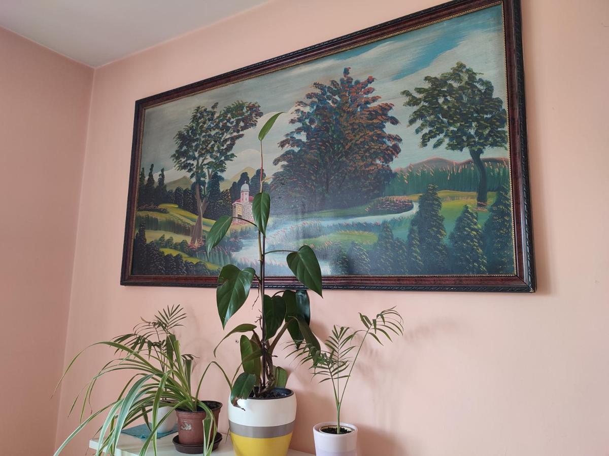 Apartman Una Крушевац Экстерьер фото